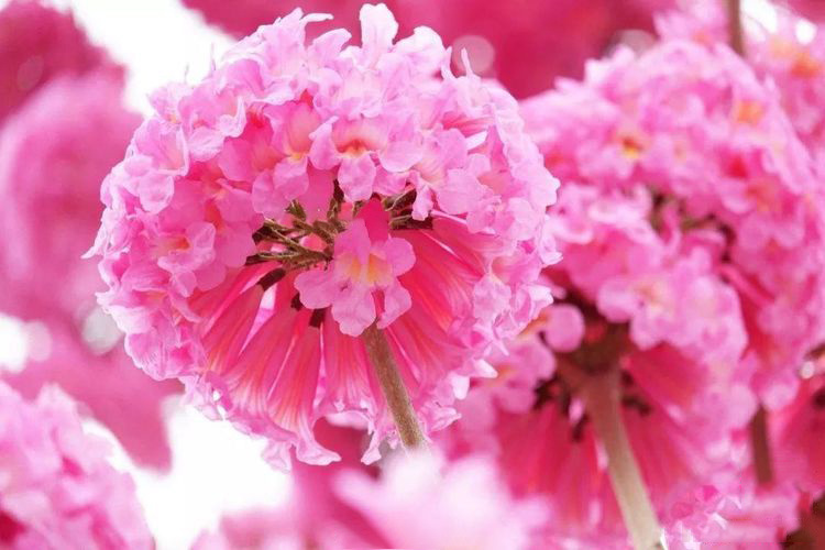 be7a1b8b6cd9f554fc73c374cb6bb91a-sz_238930