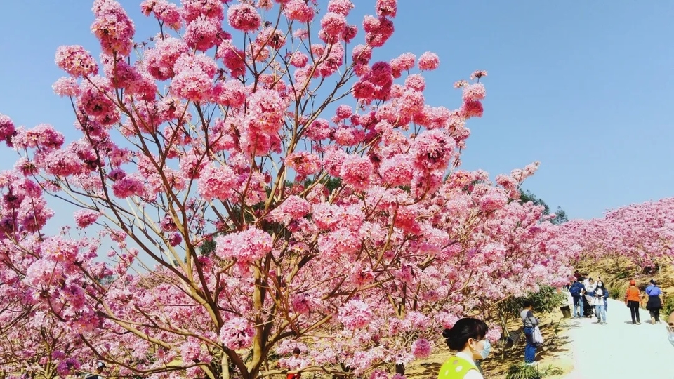 c7c7a5a6eeebe8e80067f79ac4391aaf-sz_606649