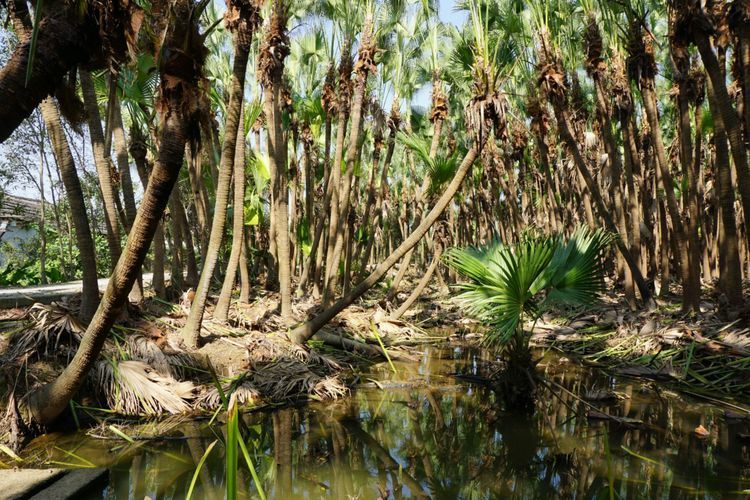 d413abda5abaac61381dd383776ca781-sz_133400