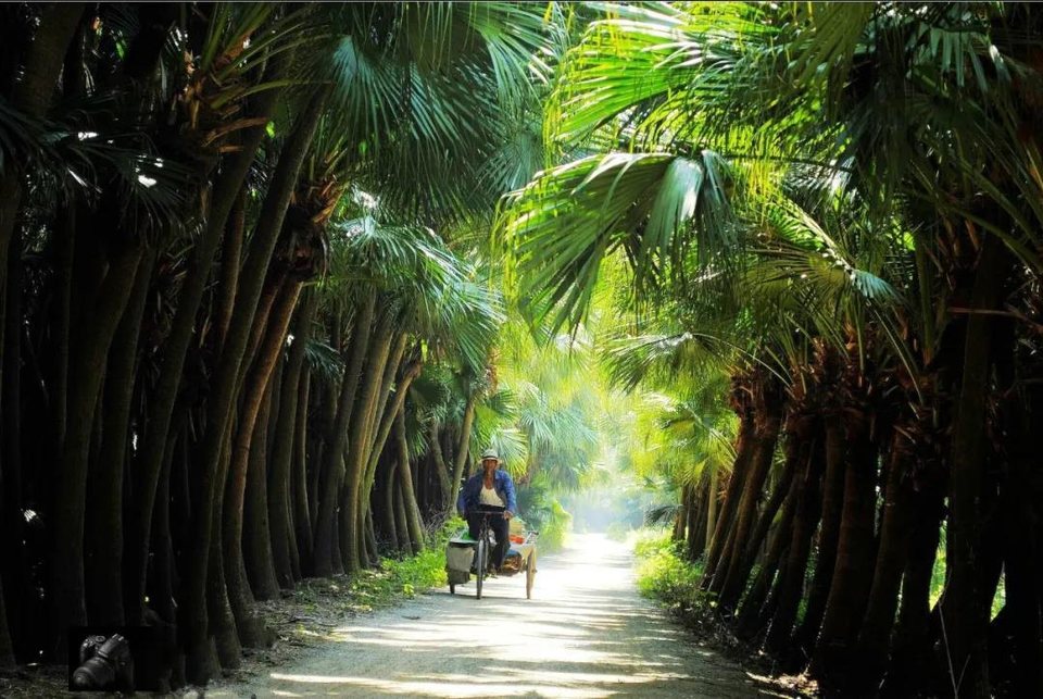 de133f6288cf4866a72769f7cca62715-sz_150247