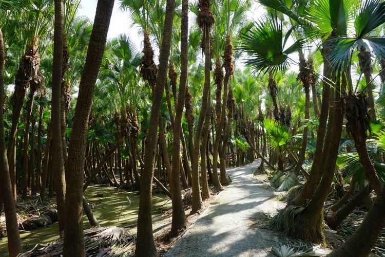 e4aff79e44477da8ab311391a7043de0-sz_116075