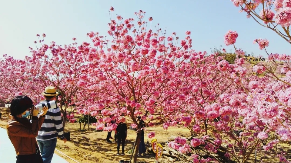 e6c30e95795d82492c8d2d37ecb830ee-sz_589964