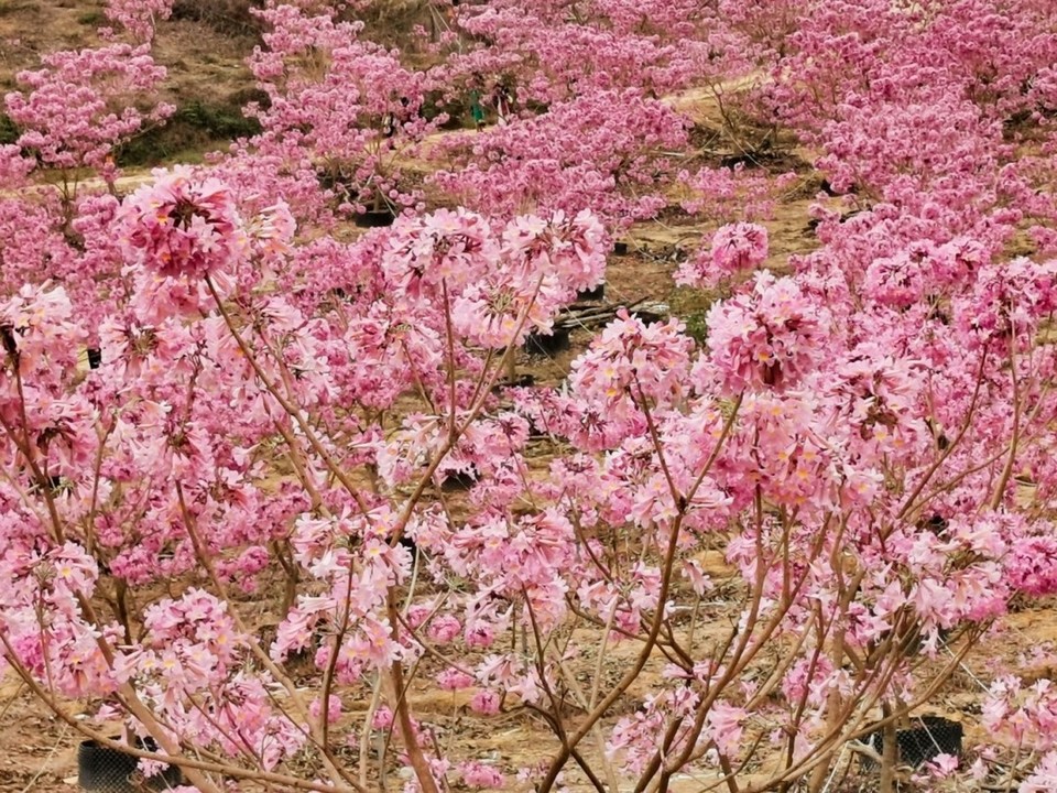 e83943d82308e06816049e54ef35710f-sz_570171