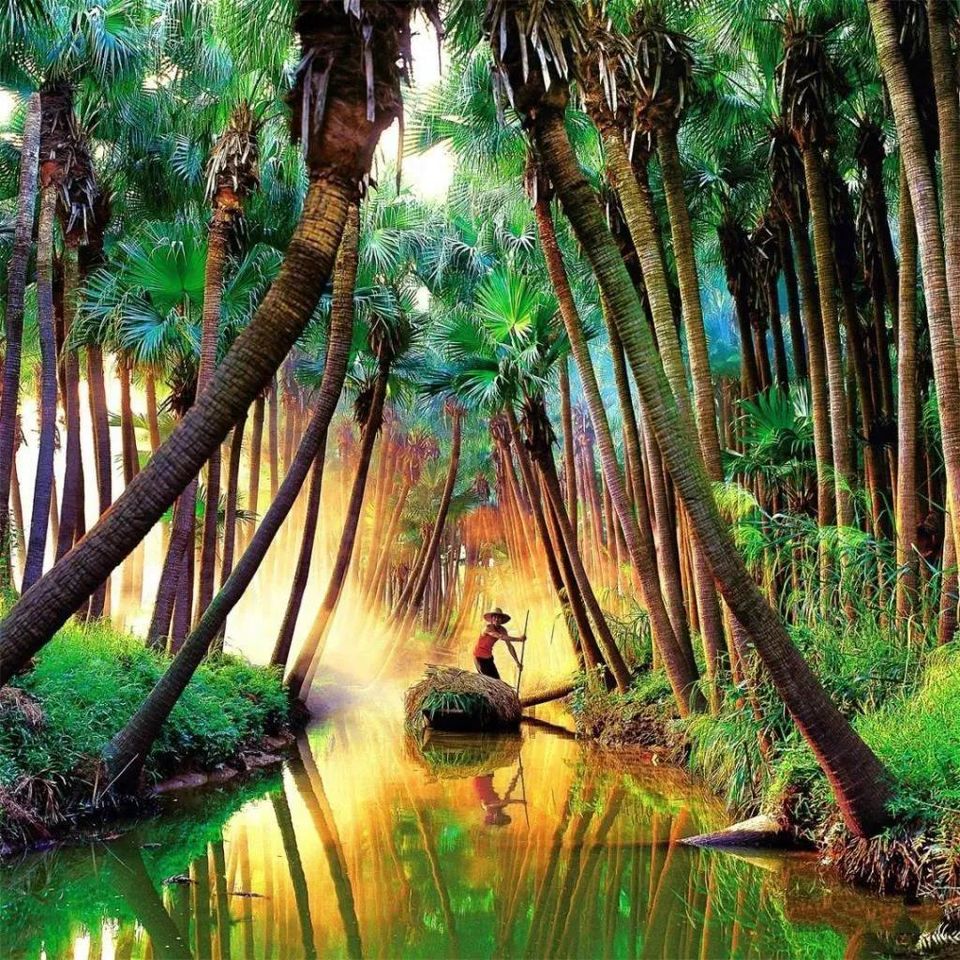 f8dd6b851e94018de8ab835bec7ad2a9-sz_305775