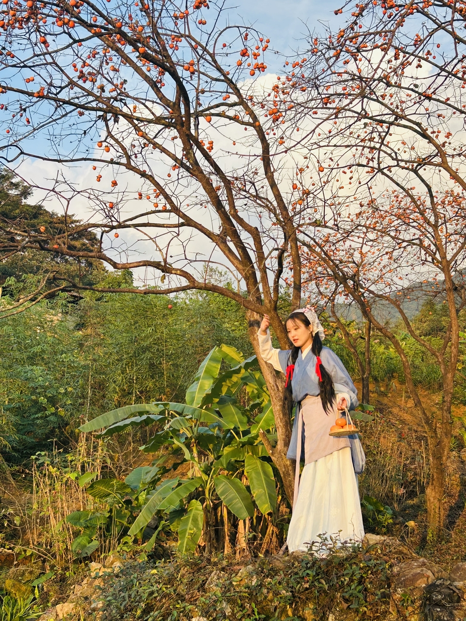 805fcae259b8dd7af6bc9f741f66eff