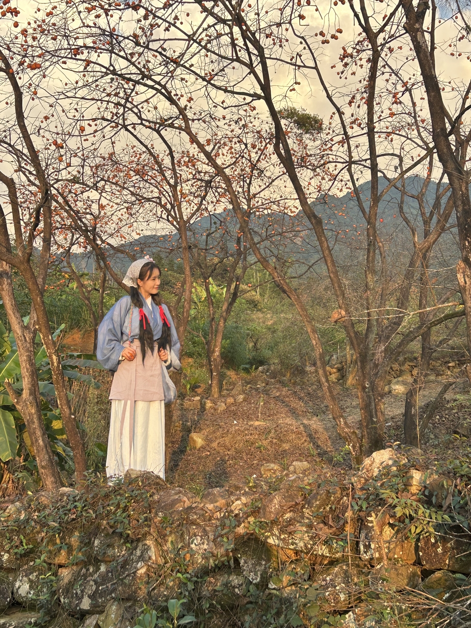 12567db5f97dcb1b72c961bae8d7595