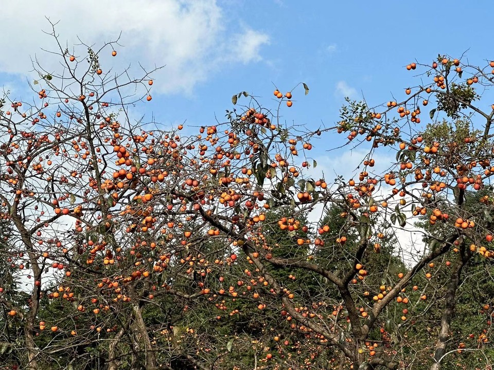 7762281cecd3f9c7a1a5578c87b9304