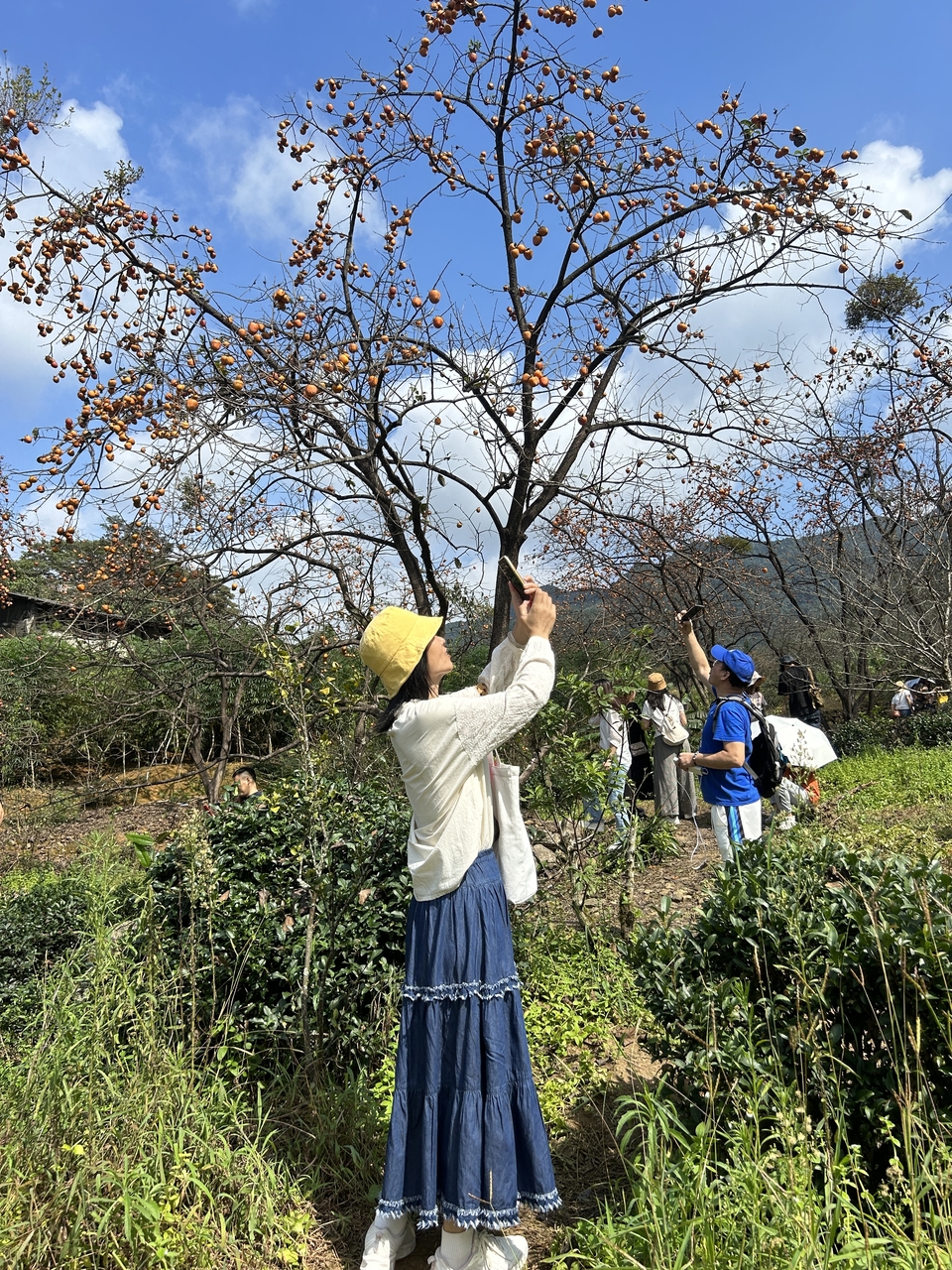 c0bfc0a519486fdea5e247a2e9b6c36