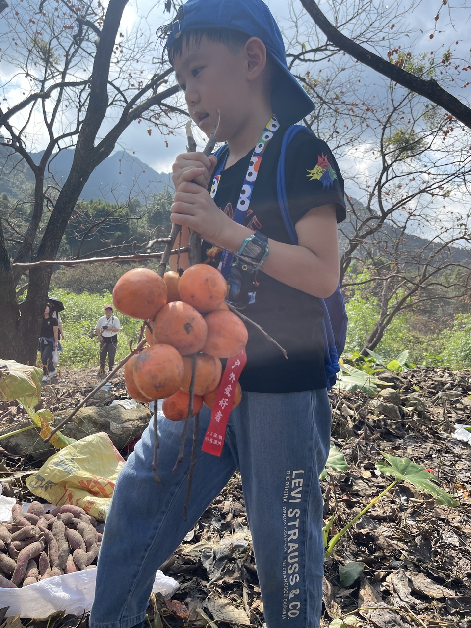 c70c537cfa2cf744f9cc98f4668a87c