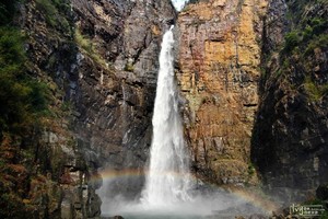 下载视频(或长按拷贝视频地址)(2)