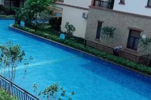 视频下载助手  微信公众号(95)