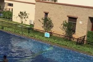 视频下载助手  微信公众号(100)