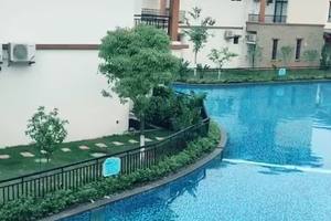 视频下载助手  微信公众号(102)