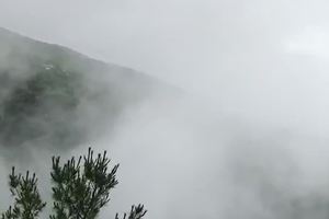 下载视频（或长按拷贝视频地址）(1)