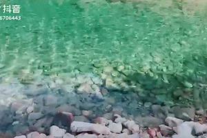 大东门