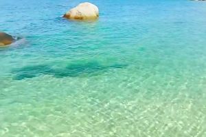 周日惠州海螺角,丁螺湾,情人湾,巽寮湾磨子石沙滩海岸线徒步(休闲),打火锅 100元,