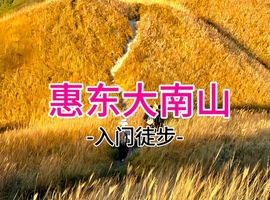 周四78元起！【大南山11公里】惠东大南山芦苇草原，广东版