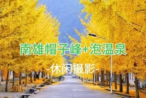 周六298元起，含住宿送温泉 【银杏温泉泳池趴】【观赏期】 帽子峰银杏+泡温泉+南华禅寺
