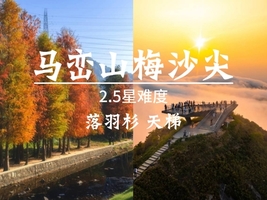 【落羽杉 梅沙尖】十峰之梅沙尖、马峦山郊野公园，大华兴寺祈福。55-75