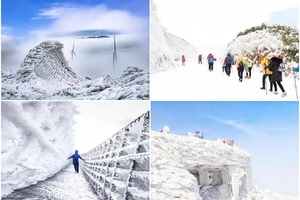 成团 东莞可上车【云冰山2天】！(初一到初六天天出发) 云冰山+油岭瑶寨