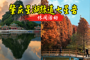 【湖光秋色】肇庆最美星湖绿道环湖徒步，赏落羽杉，七星岩里画秋色 85-105