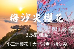 周日【梅沙尖】小三洲赏樱花，登顶梅沙尖，大华兴寺烧香四面佛祈福。55-75。55-75