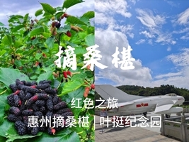 周日 【摘桑葚】惠州摘桑葚，叶挺纪念园，探寻红色历史之旅 75-95