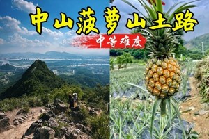 周日【入门-菠萝的山】中山菠萝的山徒步11km，体验采摘，寻味当地美实 90-110