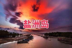 (每周六及假期）巽寮湾游艇出海、盐洲岛赶海、红树林白鹭、出海网鱼、黑排角彩石滩、烧烤、篝火、磨子石二天游