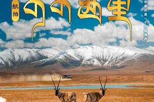 聚享 •【航拍可可西里】青海湖-翡翠湖-艾肯泉-水上雅丹-火星公路-察尔汗盐湖-黄瓜梁雅丹-可可西里7日游！（共46期）
