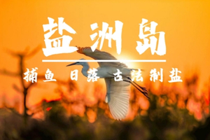 周日｜盐洲岛捕鱼， 绝美日落・白鹭归巢・渔船出海・观古法制盐 69-85 