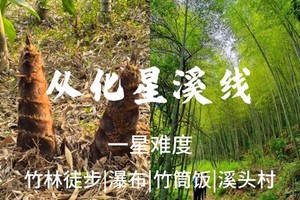 成团，周日 【休闲徒步】从化星溪线徒步十里竹海品竹筒饭，千泷沟赏大瀑布，逛古街  69-85