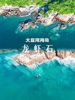 周日 清澈玻璃水--小三门龙虾石浮潜、浆板、赶海一天活动