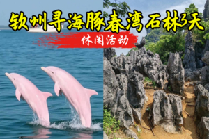 成团 【钦州寻海豚3天】9.25-9.27阳春春湾石林+龙宫、钦州观海豚 钦州老街 湛江火山岛-硇洲岛3日游
