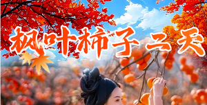 成团【摘柿子+枫叶2天】从化上罗村千亩柿子海、岭南红叶世界赏枫、高山茶园、艾米稻香小镇