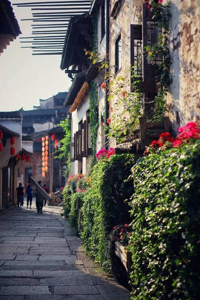 这个开满鲜花的古村落，也许你曾梦见过？