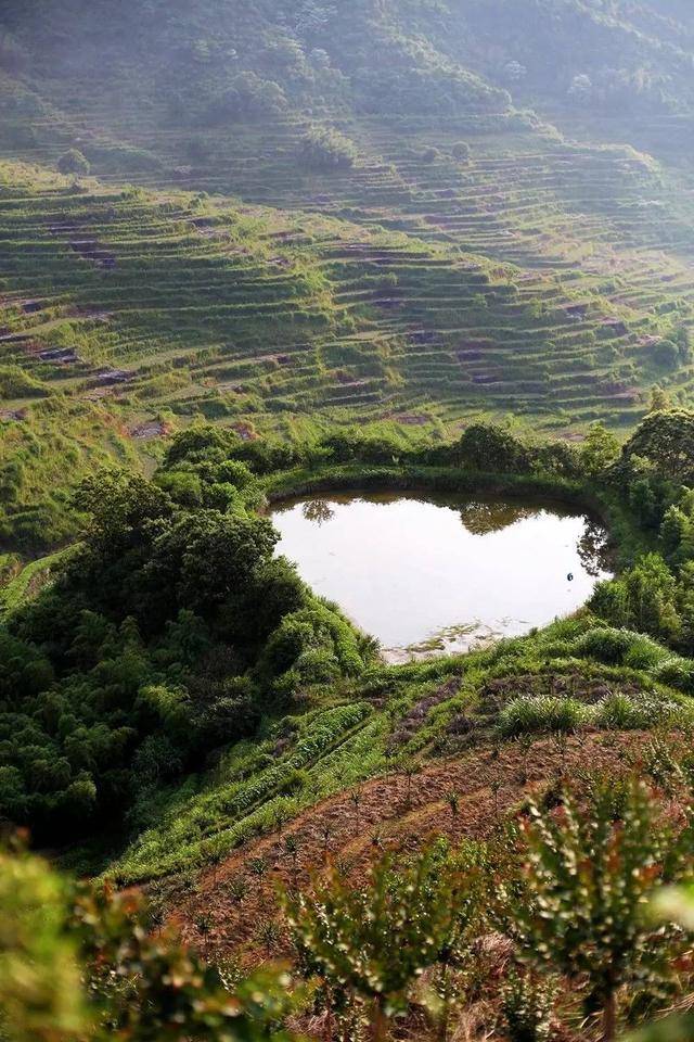 这个开满鲜花的古村落，也许你曾梦见过？