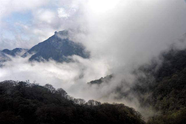 不谢前世，不修今生，去梵净山看看来世