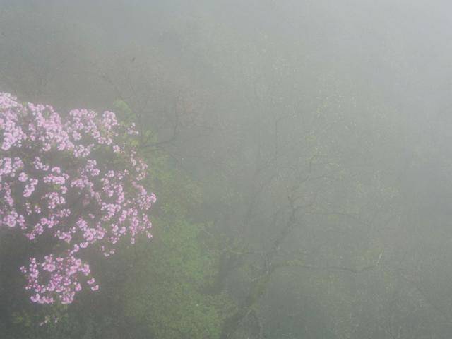 不谢前世，不修今生，去梵净山看看来世