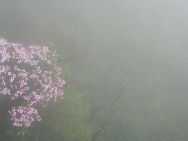 不谢前世,不修今生,去梵净山看看来世