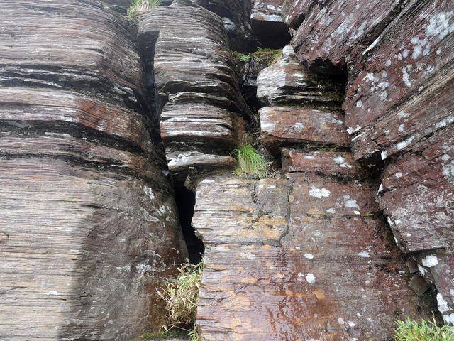 不谢前世，不修今生，去梵净山看看来世