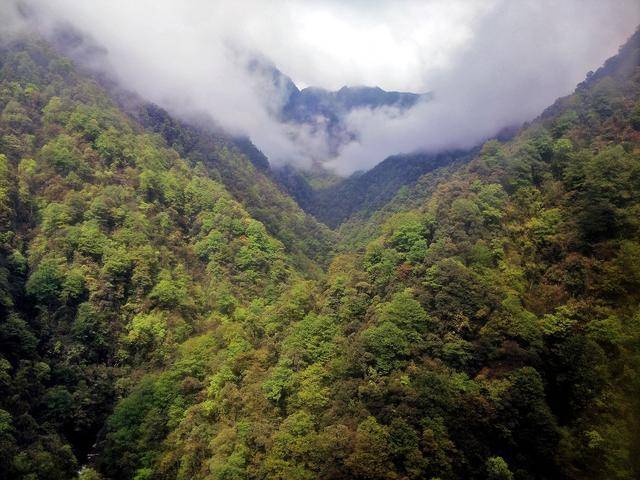 不谢前世，不修今生，去梵净山看看来世