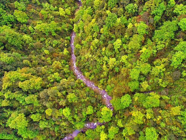 不谢前世，不修今生，去梵净山看看来世