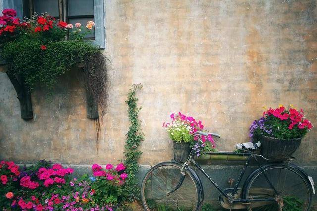 这个开满鲜花的古村落，也许你曾梦见过？