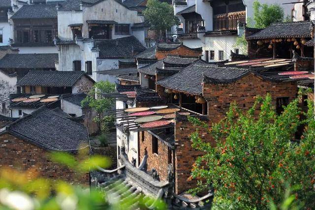 这个开满鲜花的古村落，也许你曾梦见过？