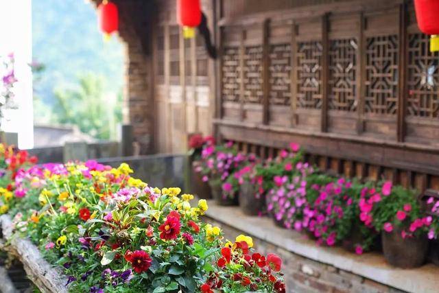 这个开满鲜花的古村落，也许你曾梦见过？