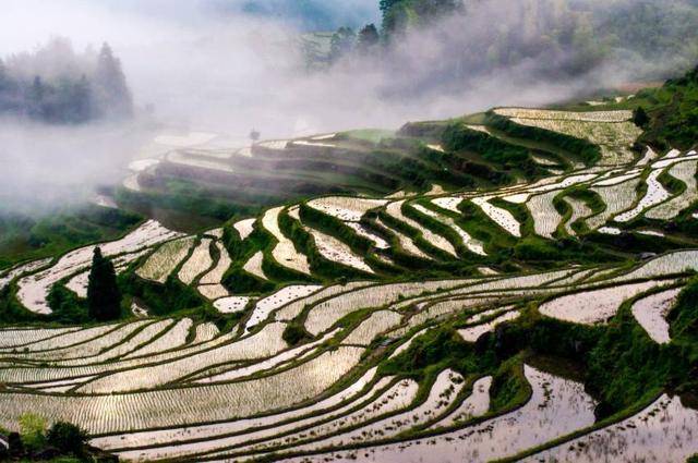 中国最美的梯田到底美成什么样？来这个童话小城你就知道了