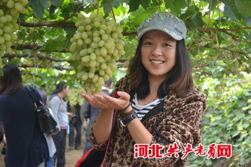 怀来的葡萄熟了！世园会看园艺美景，黄龙山庄高山草甸纳凉,中国葡萄之乡采摘,特色春饼宴,官厅水库灶台鱼,两日休闲.