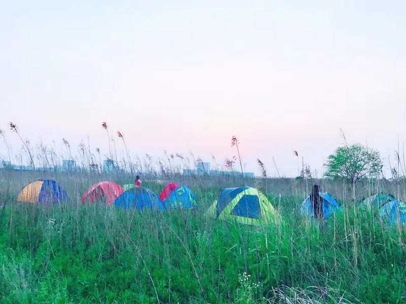 mmexport1492874961089