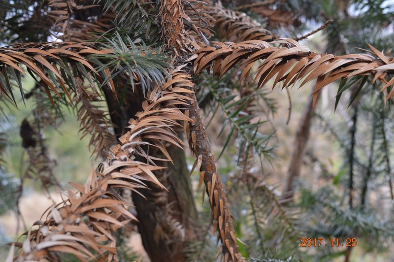 DSC_0269.JPG